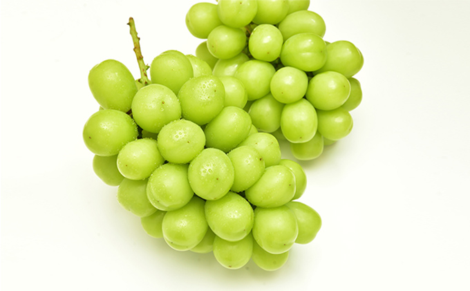 もも ぶどう 2026年 先行予約 詰合/白桃 2玉(1玉220g以上)・シャインマスカット晴王 2房(1房480g以上) 化粧箱入り 岡山県産 国産 フルーツ 果物 ギフト 