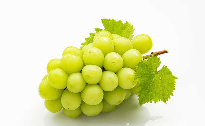 もも ぶどう 2026年 先行予約 詰合/白桃 2玉(1玉220g以上)・ニューピオーネ1房(480g以上)・シャインマスカット晴王 1房(480g以上) 化粧箱入り 岡山県産 国産 フルーツ 果物 ギフト 