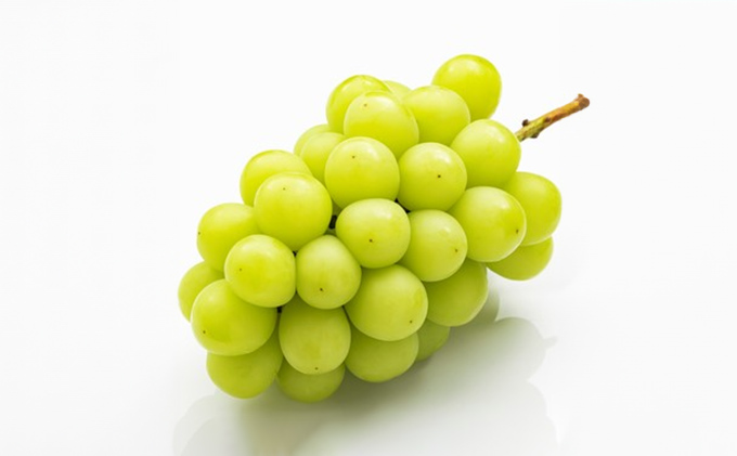 ぶどう 2026年 先行予約 詰合/ニューピオーネ 1房(480g以上)・シャインマスカット晴王 1房(480g以上) 化粧箱入り ブドウ 葡萄 岡山県産 国産 フルーツ 果物 ギフト 