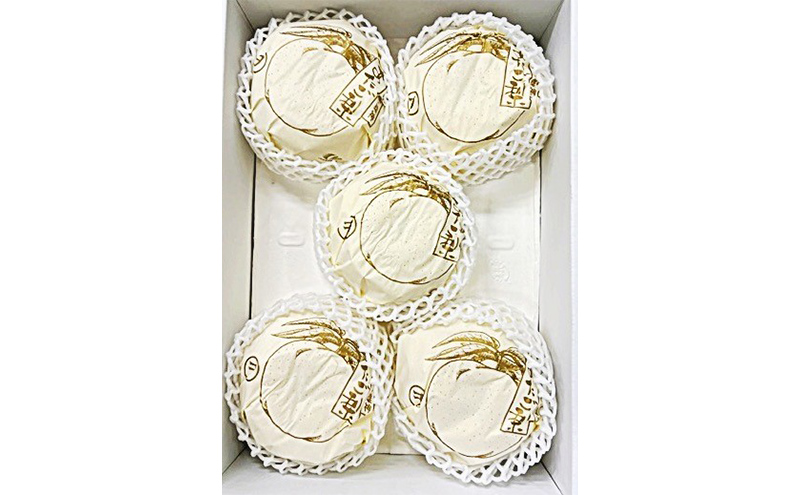 梨 2026年 先行予約 あたご梨 3-6玉（約4kg） 化粧箱入り なし ナシ 岡山県産 国産 フルーツ 果物 ギフト 