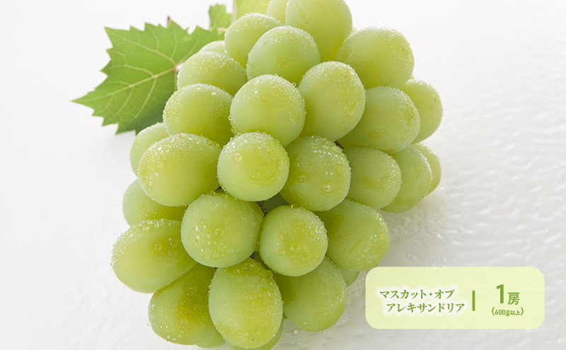 ぶどう 定期便 2026年 先行予約 晴れの国 岡山 の ぶどう定期便 3回コース 葡萄 ブドウ 岡山県産 国産 セット ギフト 