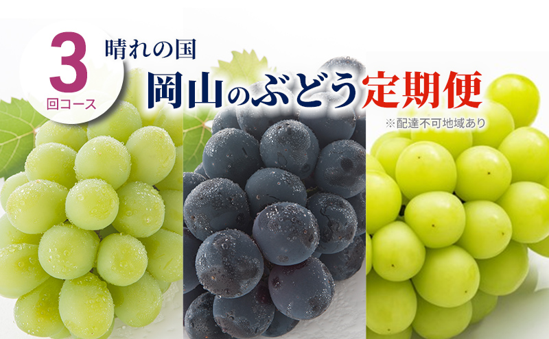 【岡山県玉野市】ぶどう 定期便 2026年 先行予約 晴れの国 岡山 の ぶどう定期便 3回コース 葡萄 ブドウ 岡山県産 国産 セット ギフト