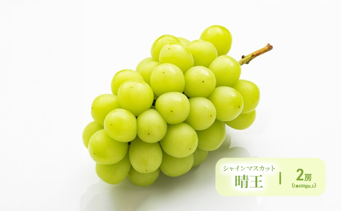 ぶどう 定期便 2026年 先行予約 晴れの国 岡山 の ぶどう定期便 3回コース 葡萄 ブドウ 岡山県産 国産 セット ギフト 