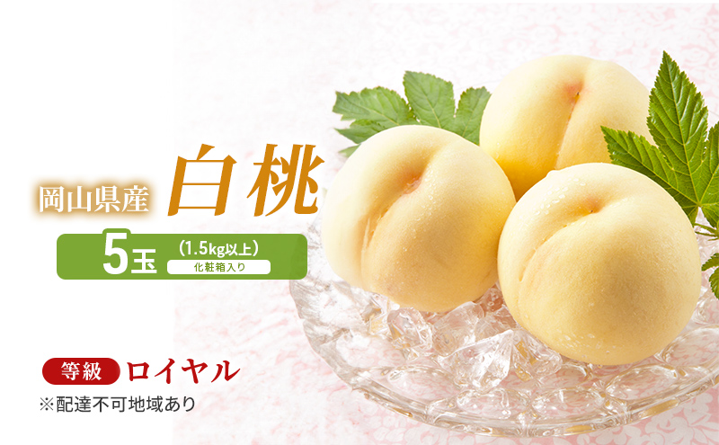 岡山県産白桃 晴れ未来 ロイヤル 14個入り hachiya-fruits_okh019