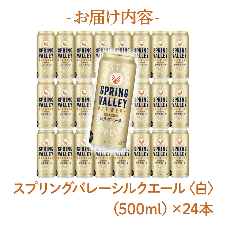 キリン SPRING VALLEY 豊潤 500ml×24本×2ケース (48本 キリン SPRING VALLEY 500ml×24本×2ケース (48本) キリン 豊潤