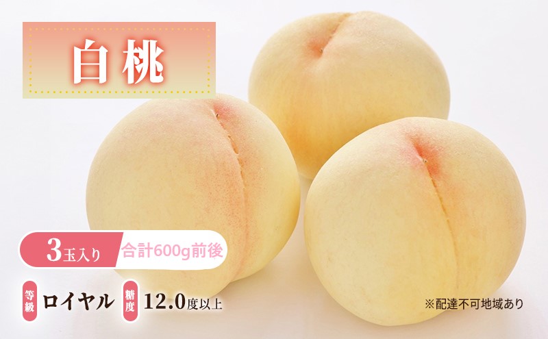 桃 2026年 先行予約 白桃 等級: ロイヤル 糖度12.0度以上 3玉入り 合計600g前後 もも モモ 岡山県産 国産 フルーツ 果物 ギフト 