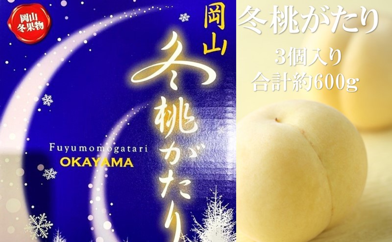 桃 2025年 先行予約  岡山県産 白桃 冬桃がたり 3個入り 約600g もも モモ 岡山県産 国産 フルーツ 果物 ギフト 