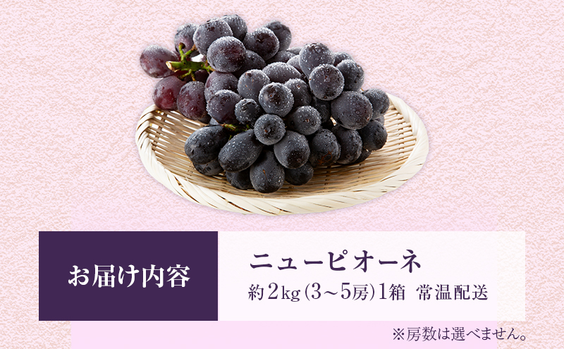 ニュー ピオーネ 約2kg 3～5房 ぶどう 葡萄 フルーツ 岡山 高梁市産 2026年 先行予約 果物類 果物 
