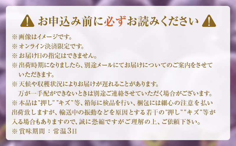 ニュー ピオーネ 約4kg ぶどう 葡萄 フルーツ 岡山 高梁市産 2026年 先行予約 果物類 果物 