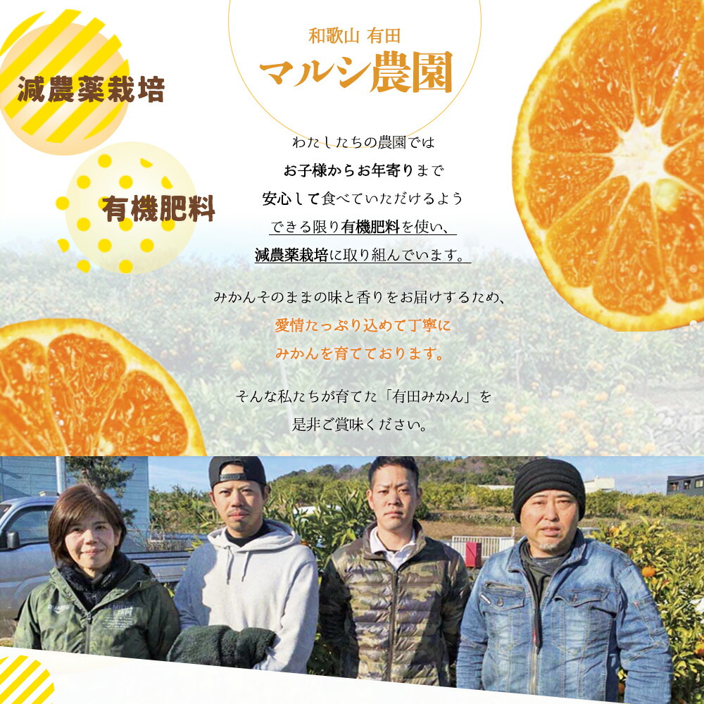 BF6061_有田みかん 5kg 2S～Lサイズ混合