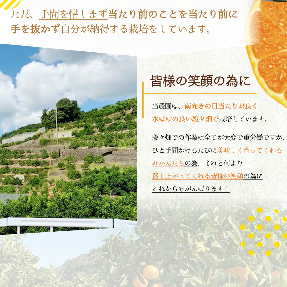 BF6061_有田みかん 5kg 2S～Lサイズ混合