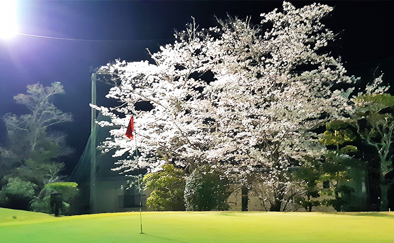 ゴルフ ショートホール 18H ペア ご利用券 みのるゴルフセンター山陽 岡山県 赤磐市 チケット 体験 