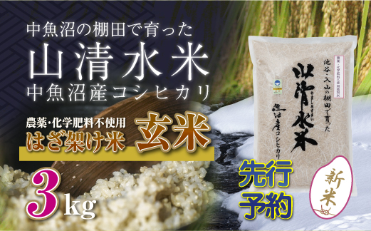 世界で唯一!着る山菜!!【山菜図鑑パーカー・アッシュ】裏起毛