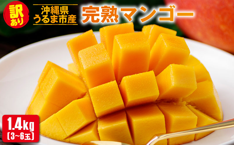 沖縄県 うるま市産 完熟 マンゴー 訳あり品 1.5kg【2025年発送】