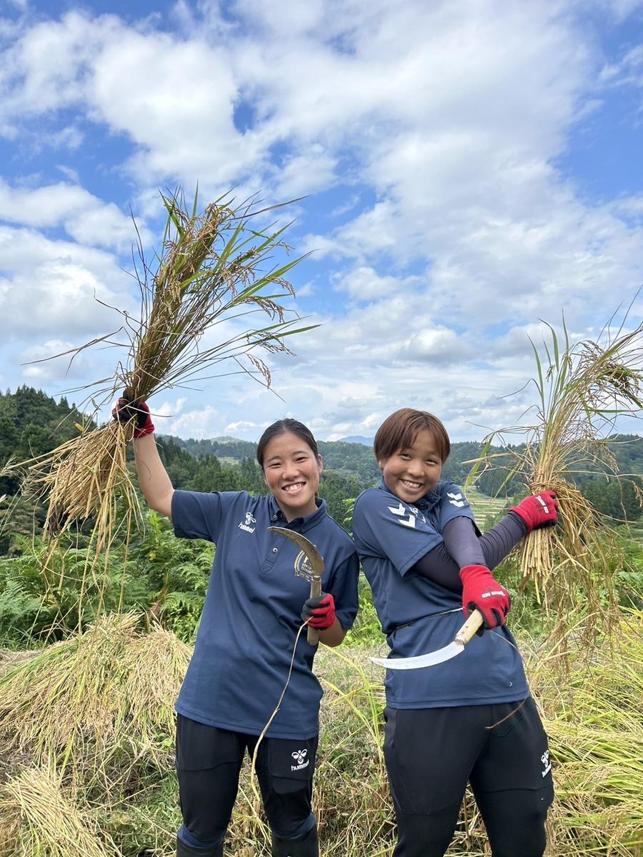 �y�V�����\�����s�z2026�N�x�u�܂����I�c�o���N�v �~�j�R�[�X (5�������[�g��)