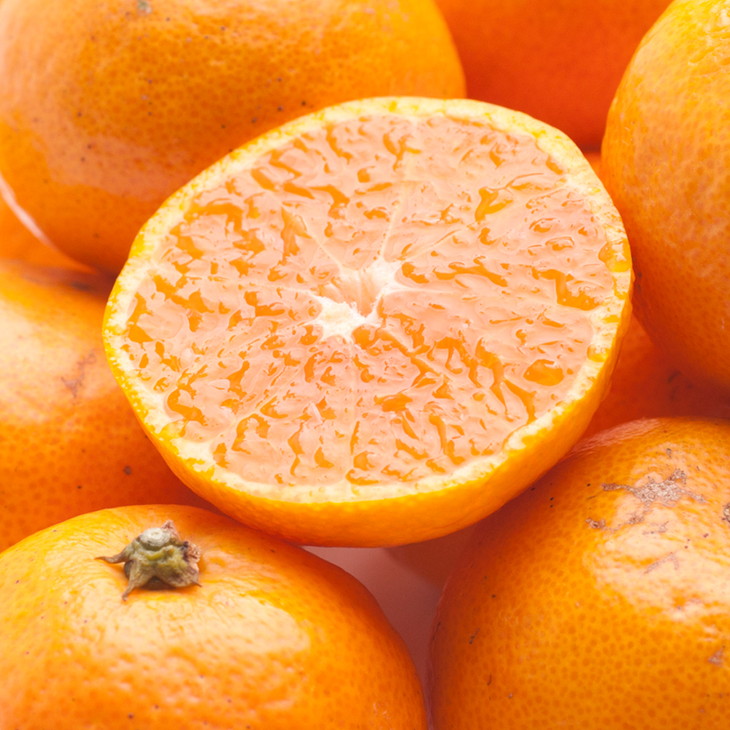 家庭用 小玉な有田みかん2.5kg+250g（傷み補償分）【わけあり・訳あり】【光センサー選果】 ※北海道・沖縄・離島への配送不可 ※2025年11月上旬～2026年1月下旬頃に順次発送予定