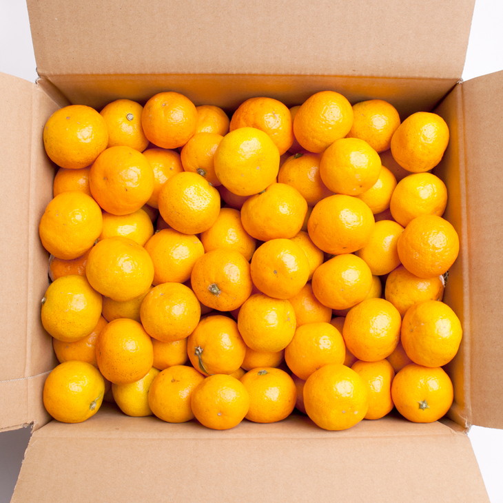 家庭用 小玉な有田みかん2.5kg+250g（傷み補償分）【わけあり・訳あり】【光センサー選果】 ※北海道・沖縄・離島への配送不可 ※2025年11月上旬～2026年1月下旬頃に順次発送予定