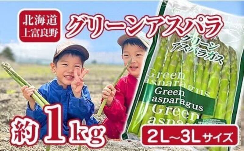 たまねぎ 令和7年産 先行予約】玉ねぎLサイズ・20kg（2025年11月より順次