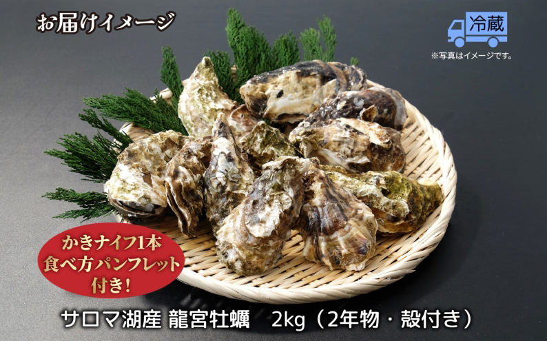 北海道 サロマ湖産 龍宮牡蠣 2kg（ 2年物 殻付き カキ ）カキナイフ付 牡蠣 海鮮 魚介 国産 貝付き 生牡蠣 生食 焼き牡蠣 蒸し牡蠣 冷蔵 産地直送 オホーツク 