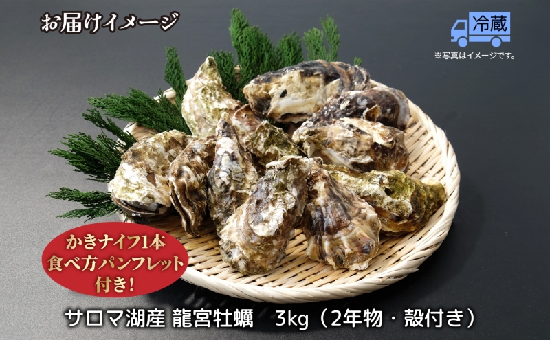先行予約 先行予約北海道 サロマ湖産 龍宮牡蠣 3kg（ 2年物 殻付き カキ ）カキナイフ付 牡蠣 海鮮 魚介 国産 貝付き 生牡蠣 生食 焼き牡蠣 蒸し牡蠣 冷蔵 産地直送 オホーツク 