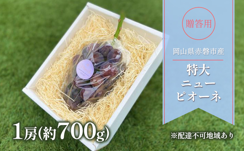 �y���R���Ԕ֎s�z�Ԃǂ� 2026�N ��s�\�� �����p ���� �j���[�s�I�[�l 1�[(��700g) �u�h�E ���� ���R�� �Ԕ֎s�Y �t���[�c �ʕ� �M�t�g