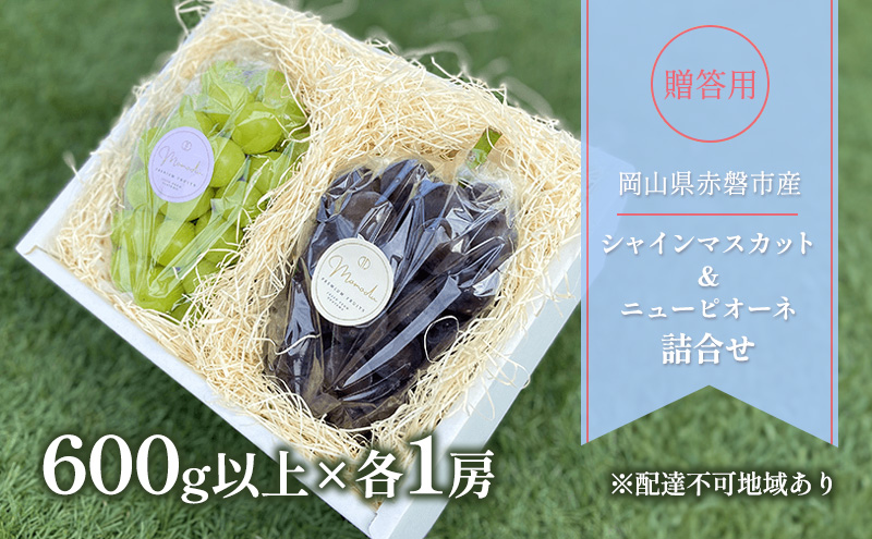 �y���R���Ԕ֎s�z�Ԃǂ� 2026�N ��s�\�� �����p �V���C���}�X�J�b�g �� �j���[�s�I�[�l �l���� 600g�ȏ�×�e1�[ �u�h�E ���� ���R�� �Ԕ֎s�Y �t���[�c �ʕ� �M�t�g