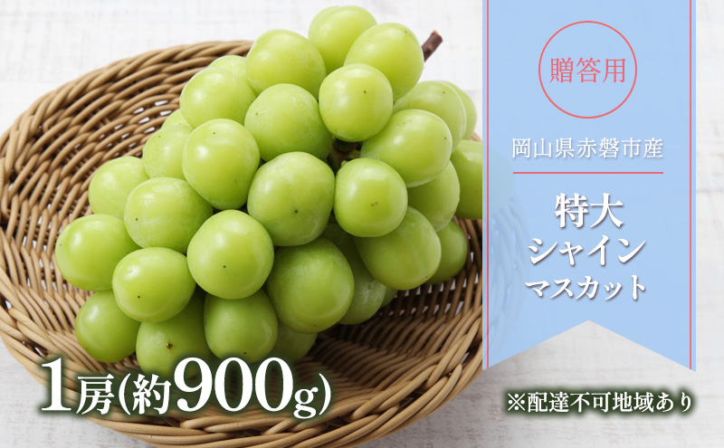ぶどう 2026年 先行予約 贈答用 特大 シャインマスカット 1房(約900g) ブドウ 葡萄 岡山県 赤磐市産 フルーツ 果物 ギフト 