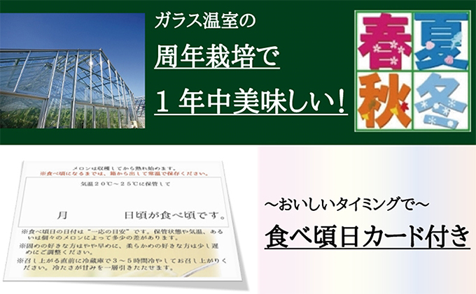 静岡県浜松市のふるさと納税 静岡クラウンメロン 白 1玉 果物 くだもの フルーツ 旬の果物 旬のフルーツ メロン クラウンメロン マスクメロン 化粧箱 ギフト  静岡 浜松市 【配送不可：離島】