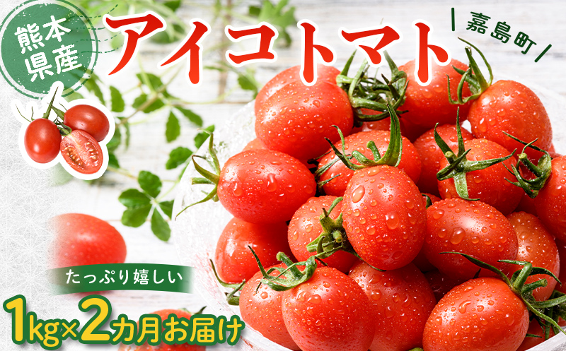 FK7-0209_ 【2カ月定期】嘉島町産アイコトマト1kg もぎたて 産地直送 産直 有機肥料 甘い フルーティー ミニトマト プチトマト リコピン 新鮮 フレッシュ サラダ 朝食 野菜 食品