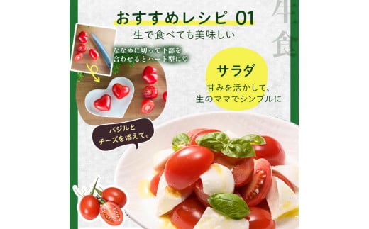 FK7-0209_ 【2カ月定期】嘉島町産アイコトマト1kg もぎたて 産地直送 産直 有機肥料 甘い フルーティー ミニトマト プチトマト リコピン 新鮮 フレッシュ サラダ 朝食 野菜 食品