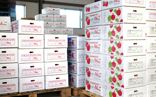 山形県南陽市のふるさと納税 【令和7年産先行予約】 りんご 「サンふじ」 約5kg (12～23玉 秀品) 《令和7年12月上旬～令和8年2月下旬発送》 『カネタ高橋青果』 リンゴ 山形県 南陽市 [1960]