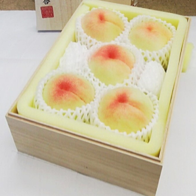 桃の苗 約1.5メートル　白桃　山葡萄セット 桃の苗 約1.5メートル 白桃 山葡萄セット