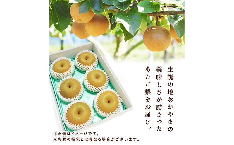 梨 2025年 先行予約 あたご梨 4～7玉（約4kg） 化粧箱入り なし ナシ 岡山県産 国産 フルーツ 果物 ギフト 