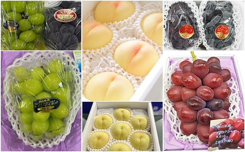 フルーツ 2026年 先行予約 晴れの国 岡山 の フルーツ 定期便 6回コース 岡山県産 桃 もも 葡萄 ぶどう 梨 なし 