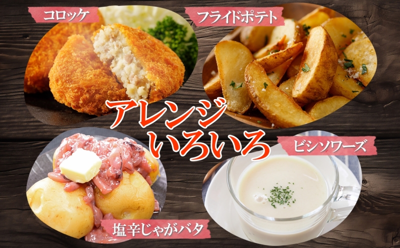 北海道産じゃがいも 男爵 きたかむい各約5kg Lサイズ 計10kg ジャガイモ 男爵いも 馬鈴薯 ポテト 根菜 常備野菜 産直 国産 送料無料 北海道 倶知安町