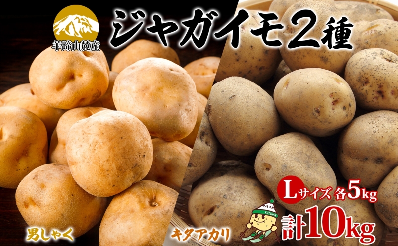 【特大】北海道産じゃがいもキタアカリ20kg 新じゃがいも 北あかり 20kg LMサイズ から Lサイズ 混合 きた