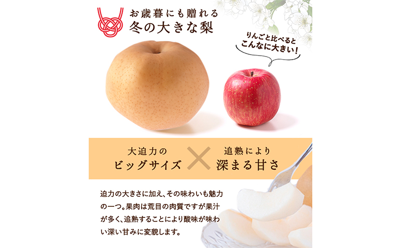 梨 2025年 先行予約 あたご梨 4～7玉（約4kg） 化粧箱入り なし ナシ 岡山県産 国産 フルーツ 果物 ギフト 