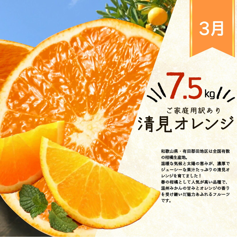 G60-T79_【定期便 全3回】紀州和歌山産旬のご家庭用柑橘セット（みかん・不知火・清見）