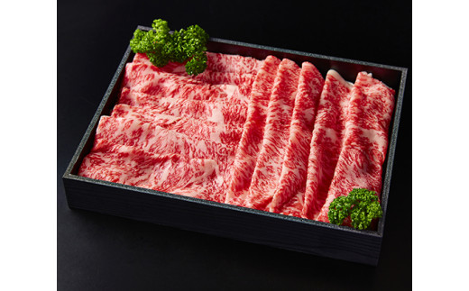 近江牛食べつくし定期便　６回　焼肉　すきしゃぶ　ステーキ【FO17W】