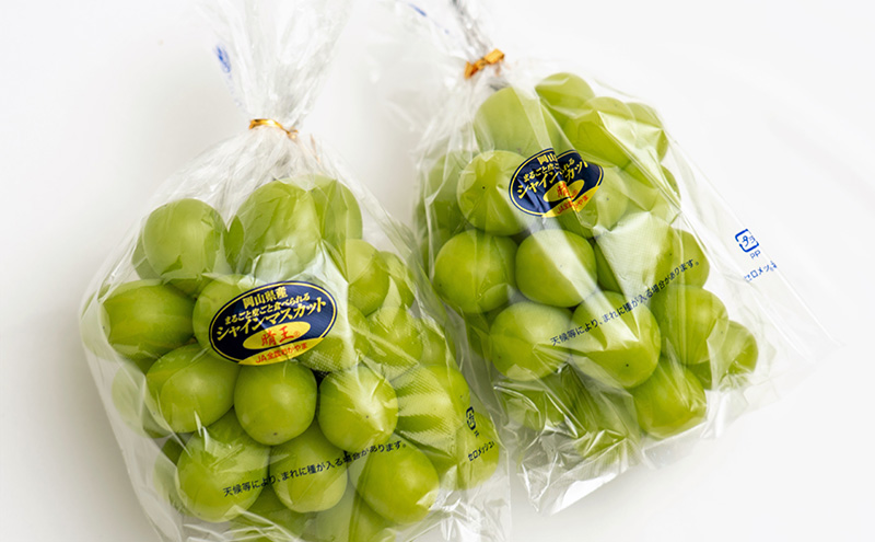 ぶどう 2026年 先行予約 シャイン マスカット 晴王 2房（合計約1.1kg）化粧箱入り マスカット ブドウ 葡萄  岡山県産 国産 フルーツ 果物 ギフト 果物類 大粒 1.1kg 