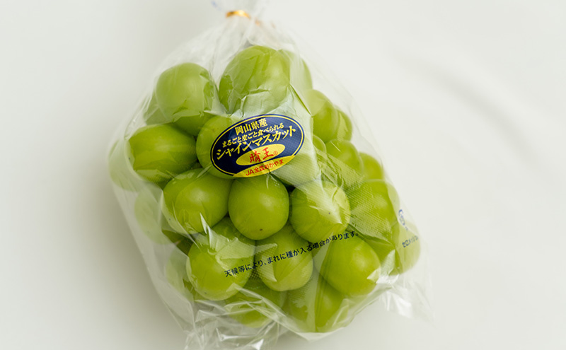 ぶどう 2026年 先行予約 シャイン マスカット 晴王 1房（1房670g以上）化粧箱入り マスカット ブドウ 葡萄  岡山県産 国産 フルーツ 果物 ギフト 果物類 大粒 