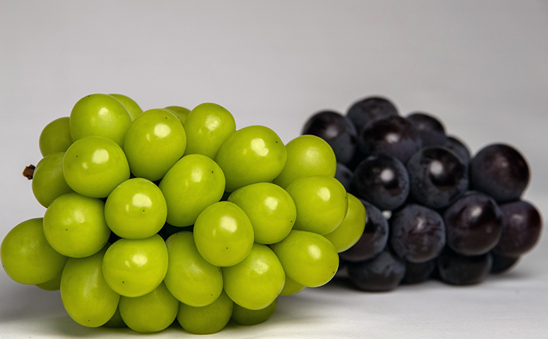 ぶどう 2026年 先行予約 果物 詰合せ ニュー ピオーネ 1房（1房470g以上）シャイン マスカット 晴王 1房（1房470g以上） 化粧箱入り 岡山県産 国産 フルーツ ギフト  果物類 