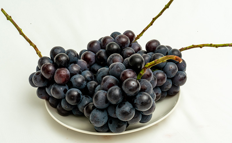 ぶどう 2026年 先行予約 ニュー ピオーネ 4房（合計約2kg）  ブドウ 葡萄  岡山県産 国産 フルーツ 果物 ギフト  