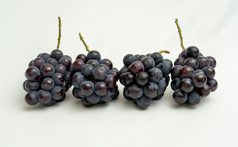 ぶどう 2026年 先行予約 ニュー ピオーネ 4房（合計約2kg）  ブドウ 葡萄  岡山県産 国産 フルーツ 果物 ギフト  