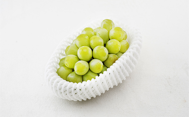 ぶどう 2026年 先行予約 マスカット・オブ・アレキサンドリア 特秀品 1房（1房700g以上）化粧箱入り 葡萄  岡山県産 国産 フルーツ ギフト 果物 食後 デザート 高級ぶどう 爽やか 