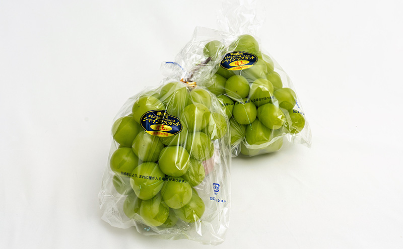 ぶどう 2026年 先行予約 シャイン マスカット 晴王 2房 （合計約1.1kg） 化粧箱入り マスカット ブドウ 葡萄  岡山県産 国産 フルーツ 果物 ギフト 