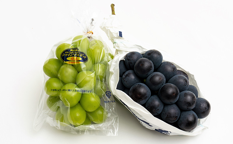 ぶどう 2026年 先行予約 詰め合わせ ニュー ピオーネ 1房 (1房470g以上)  シャイン マスカット 晴王 1房 (1房470g以上) 化粧箱入り 岡山県産 国産 フルーツ ギフト  果物 贈答品 セット 