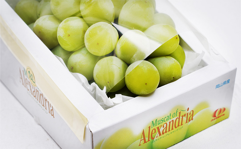 ぶどう 2026年 先行予約 マスカット・オブ・アレキサンドリア 特秀品 1房（1房700g以上）化粧箱入り 葡萄 岡山県産 国産 フルーツ 果物 ギフト 果実 上品 高級 