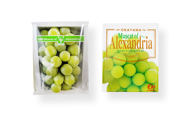 ぶどう 2026年 先行予約 マスカット・オブ・アレキサンドリア 特秀品 1房（1房700g以上）化粧箱入り 葡萄 岡山県産 国産 フルーツ 果物 ギフト 果実 上品 高級 
