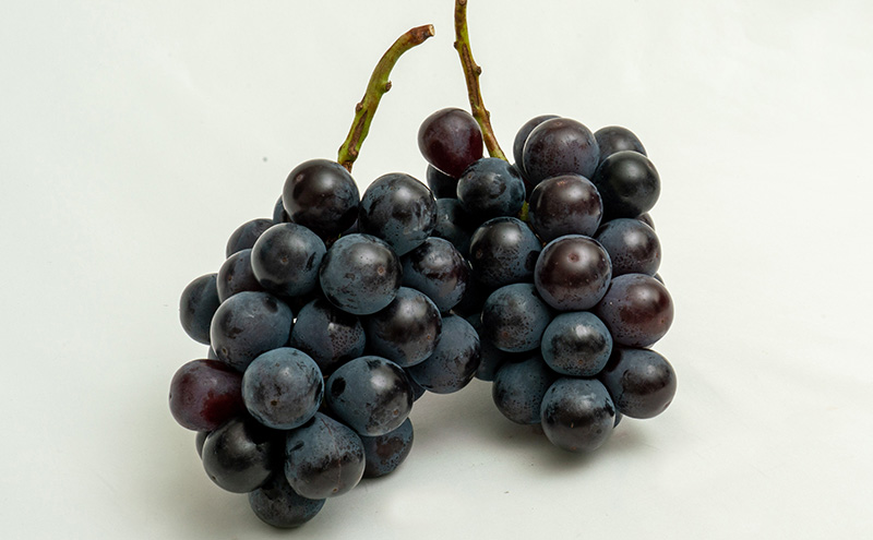 桃 ぶどう 2026年 先行予約 果物詰合せ 白桃 2玉（1玉200g以上） ニュー ピオーネ 2房（合計約940g）化粧箱入り 岡山県産 国産 フルーツ 果物 ギフト  贈り物 セット 